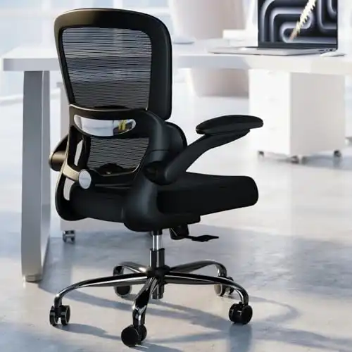 Ergonomic Office Chair