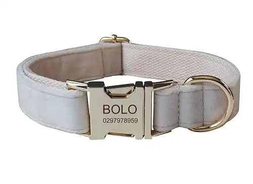 Dog Collar