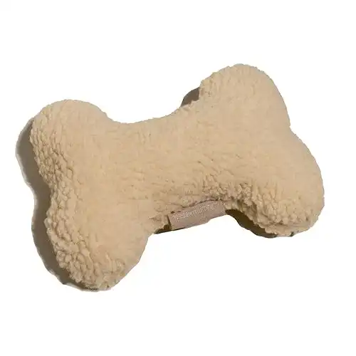 Squeaky Dog Toy