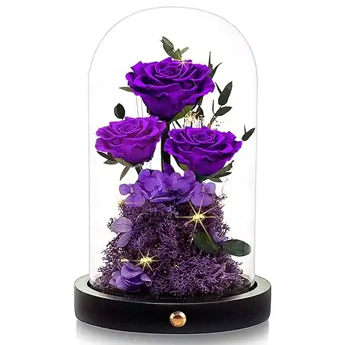 Forever Preserved Roses in a Glass Dome