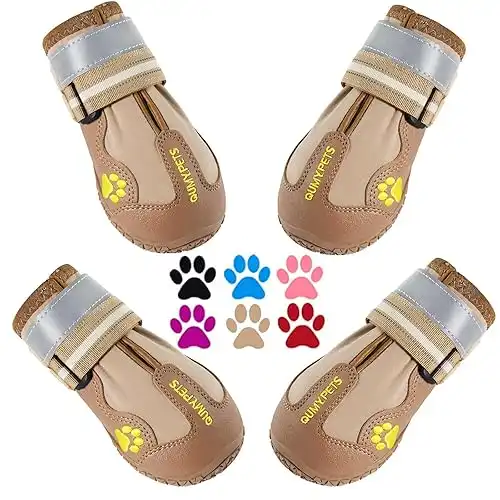 Dog Boots & Paw Protectors